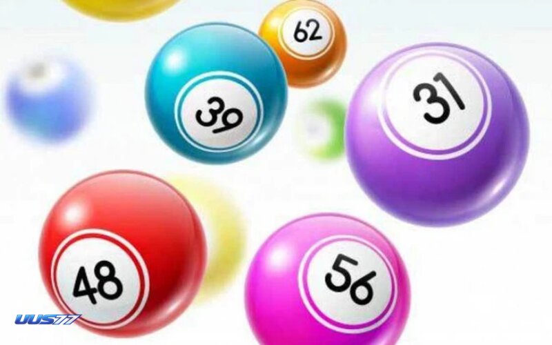 Lottery uus77 - Differences Between Traditional and Digital Lotteries
