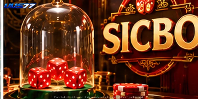 sicbo-04.webp