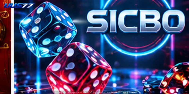 sicbo-05.webp