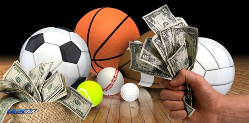 uus77 Sports - Football Betting and Major International Competitions